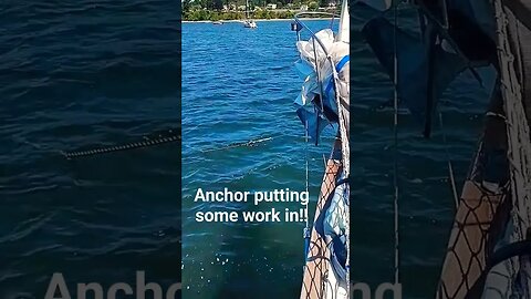 I love this anchor! #rocna #anchor #pnw #shorts