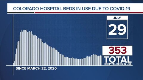 GRAPH: COVID-19 hospital beds in use as of July 29, 2020