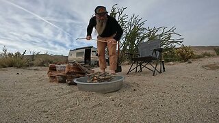 Joshua Tree National Park and the Mojave desert in a van