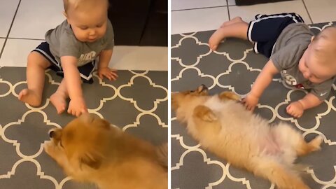 Baby has a chat with his Pomeranian puppy