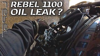 VLOG: 2021 Honda Rebel 1100 // Oil Leak Fixed // Upcoming Projects