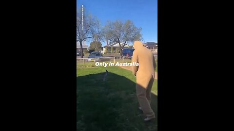 Baby Kangaroo funny video 😍😅