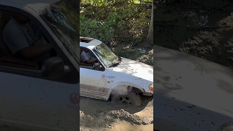 Fords in the Mud