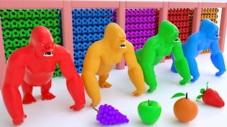 Apprenez les couleurs avec des gorilles et des ballons de soccer pour enfants