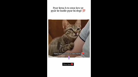 feelings for animal|[very interesting video 🤩🤩] so please follow
