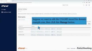 How to edit or delete CNAME Record in cPanel using the DNS Zone Editor with FelizHosting