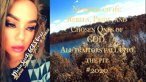 Numbers ch 16: Rebels, Pride, and Chosen Ones of GOD. All traitors fall into the pit .