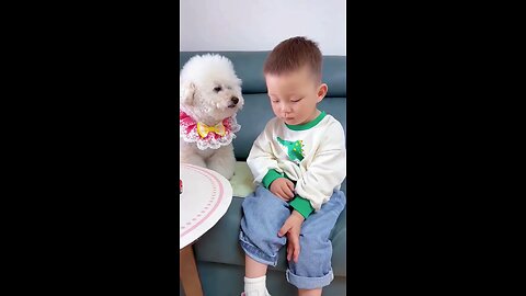 bonding between dog and a boy