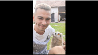 Baby Owl Runs To Owner When Called
