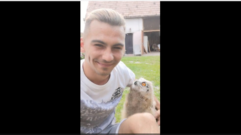 Baby Owl Runs To Owner When Called