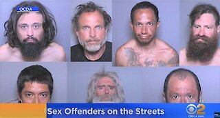 7 High-Risk Sex Offenders Released In Orange County, California