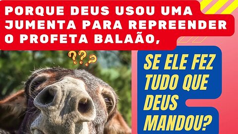 Porque Deus usou uma jumenta para repreender o profeta Balaão, se ele fez tudo que Deus Mandou?