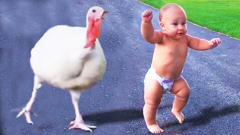Funny Baby Meet Animals For The First Time