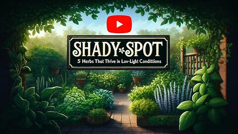 Shady Spot Herb Garden | 5 Herbs That Thrive In Low-Light Conditions