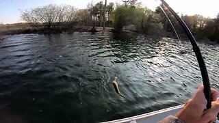 largemouth from the canoe