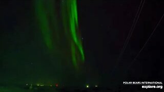 Northern Lights-Churchill Canada 🌟 12/22/22