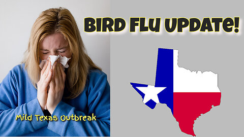 Bird FLU in Texas! Update and Details.