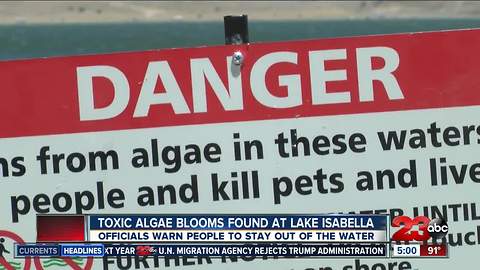 Dangerous levels of algae found in Lake Isabella