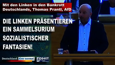 Mit den Linken in den Bankrott Deutschlands, Thomas Prantl, AfD