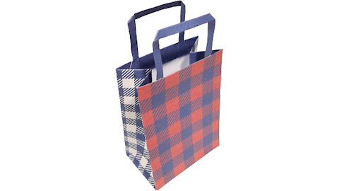 Checkered paper gift bag/Bolsa de regalo de papel a cuadros/Saco de papel xadrez para presente