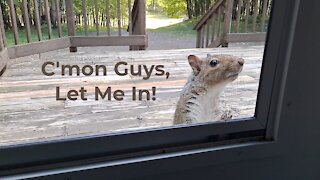 C'mon Guys, Let Me In