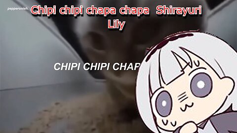 vtuber Shirayuri lily - Chipi chipi chapa chapa