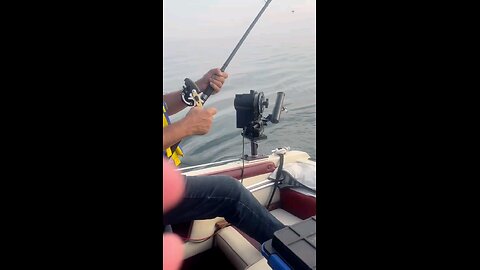 Catching fish at Lake ontario Canada