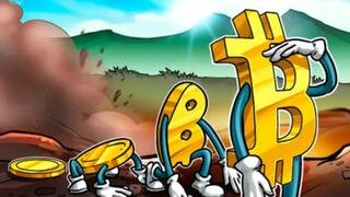 Dicas Importantes Para Não Perder Bitcoins