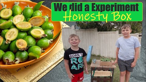 People left us money outside our house!! with our Honesty Box Experiment