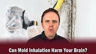 Can Mold Inhalation Harm Your Brain?