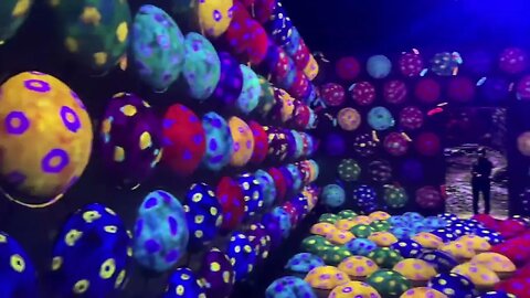 팀랩 포레스트 후쿠오카 Teamlab Forest FUKUOKA