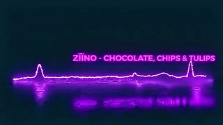 Ziino - Chocolate, Chips & Tulips (Visualizer)