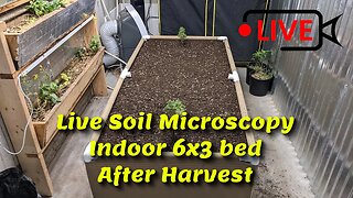 Live Soil Microscopy on Indoor Bed after 1st Harvest.
