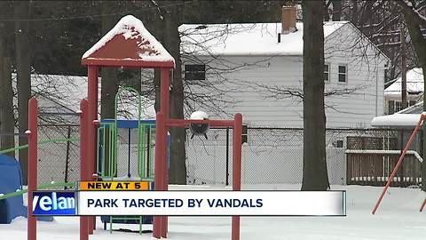 Repeated vandalism plagues Eastlake park, neighbors want surveillance cameras