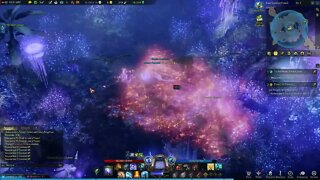 Lost Ark MMORPG Forest of Dreams