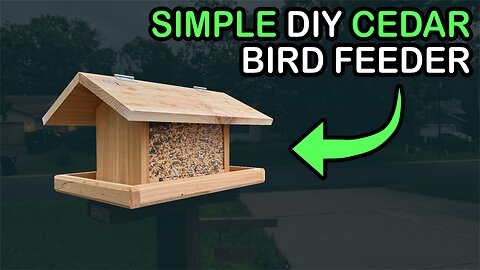 DIY Bird Feeder