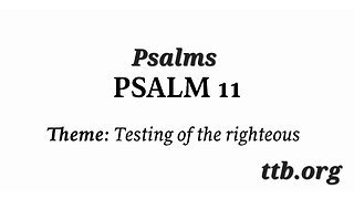 Psalm Chapter 11 (Bible Study)