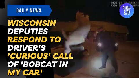 Wisconsin Deputies Respond To Driver's 'Curious' Call of 'Bobcat in My Car'