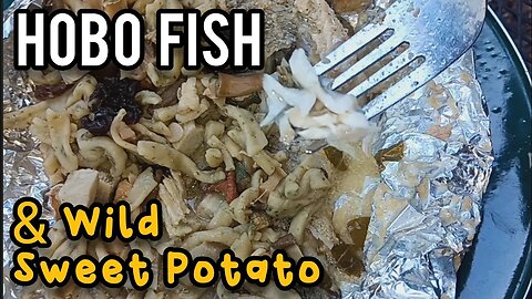 Cooking Hobo Fish and Wild Sweet Potato!