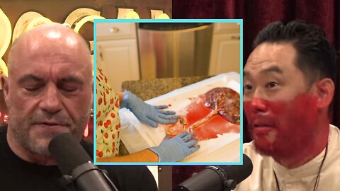 I Ate My Wife's Placenta, Does that Makes me a Cannibal ? | Joe Rogan Experience