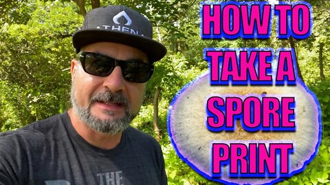 HOW TO TAKE A SPORE PRINT