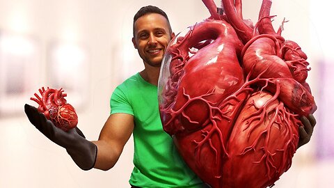 The Largest and Smallest Hearts in the Animal Kingdom
