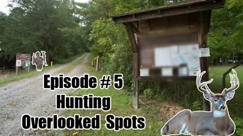 Episode #5 - Hunting Overlooked Spot