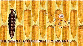 Reloaded 2008 World According to Monsanto (HQ)
