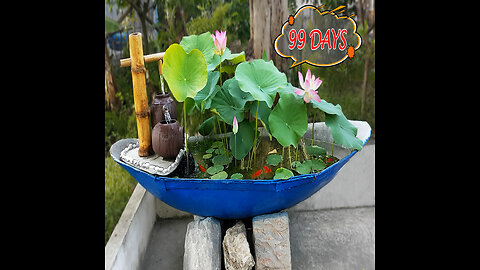 Recycle the broken boat into a waterfall aquarium and plant beautiful lotus