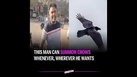 Indian Man can Summon Flocks of Crows on Command (itachi Naruto)