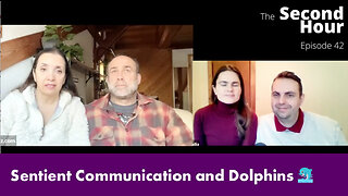 Sentient Communication and Dolphins 🐬