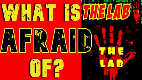 What is @The Lab Afraid Of? | Just The Receipts