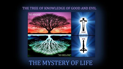 Mystery of Life: "Souls are Hunted to Birth Locusts in Pit"; "Frequencies & Mind & Matter"