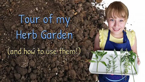 Tour of my Herb Garden: and how to use them!